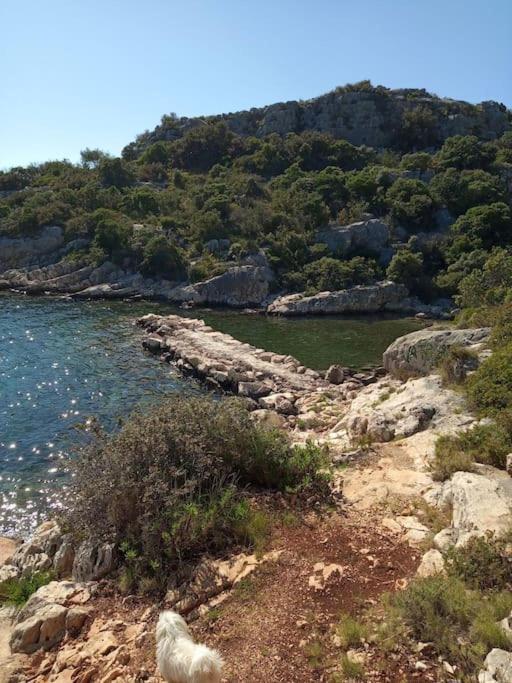 Alleinstehendes Haus Am Meer Robinson Tkon Bagian luar foto