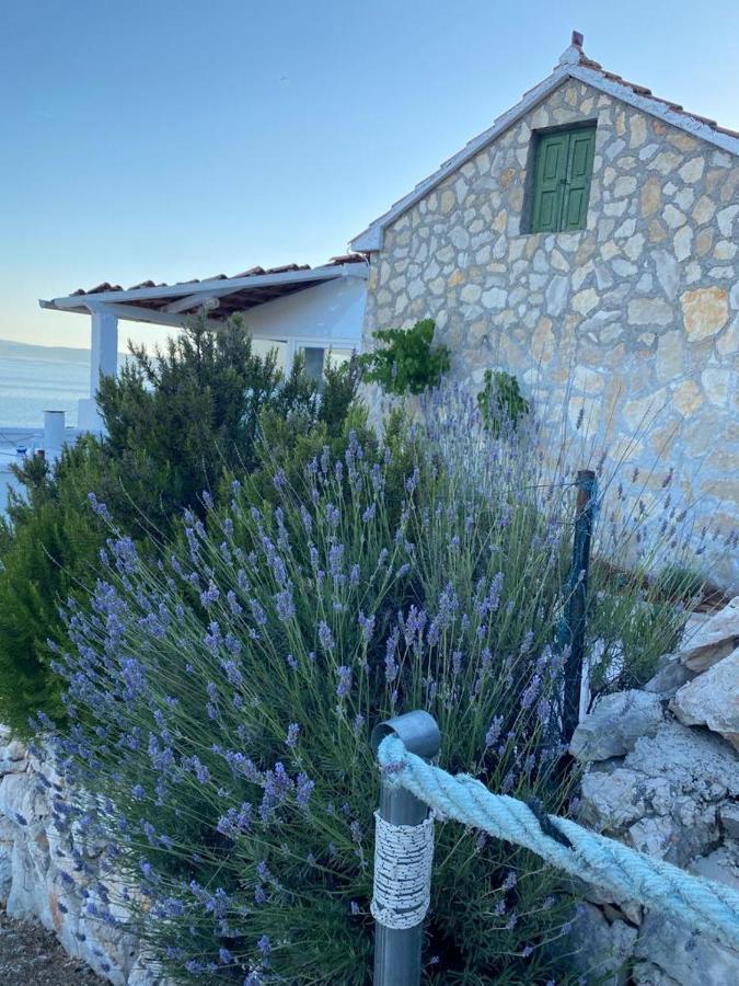 Alleinstehendes Haus Am Meer Robinson Tkon Bagian luar foto